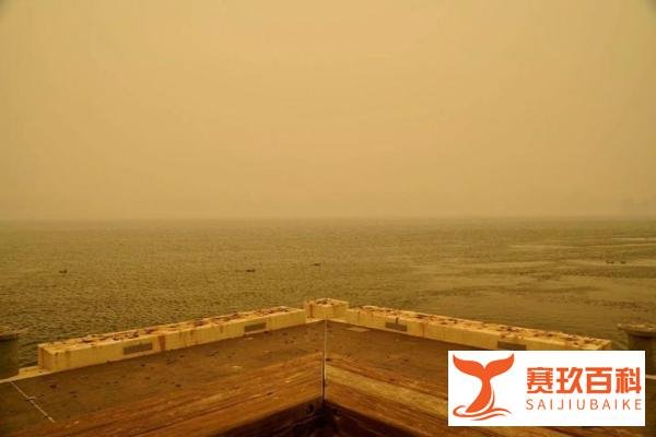 澳洲突降大雨冰雹,堪培拉火情减弱,当地居民:灭火不能靠政府