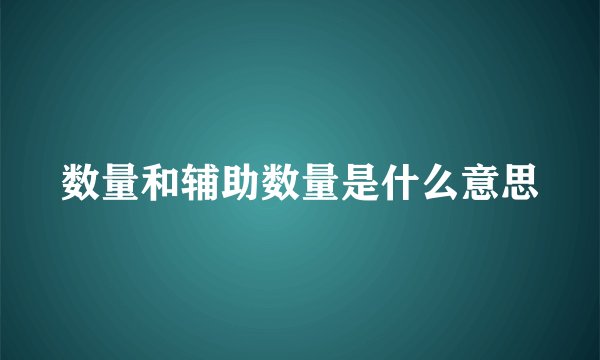 数量和辅助数量是什么意思