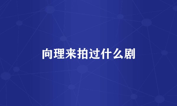 向理来拍过什么剧