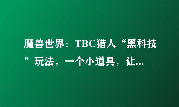 魔兽世界：TBC猎人“黑科技”玩法，一个小道具，让宠物不再倒地
