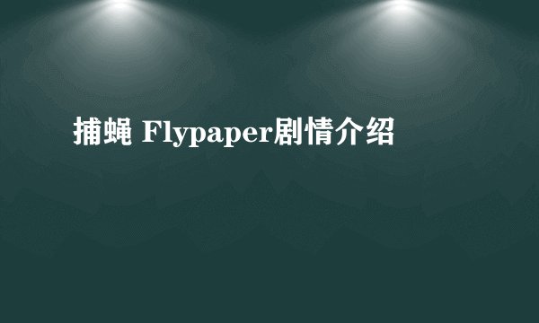 捕蝇 Flypaper剧情介绍