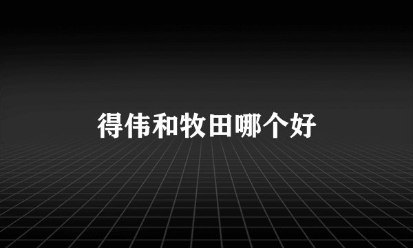 得伟和牧田哪个好