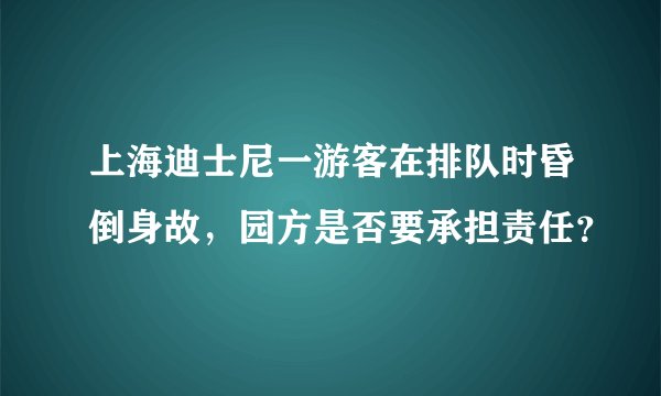 上海迪士尼一游客在排队时昏倒身故，园方是否要承担责任？