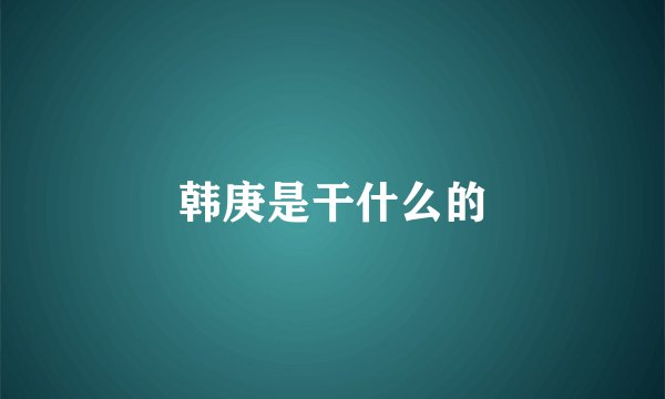 韩庚是干什么的