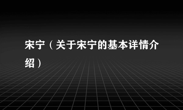 宋宁（关于宋宁的基本详情介绍）