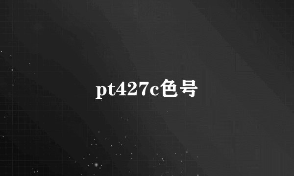 pt427c色号