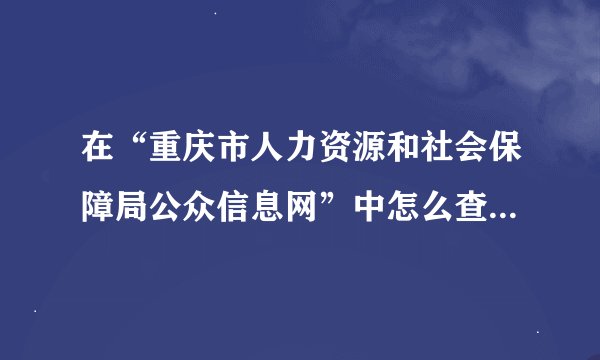 在“重庆市人力资源和社会保障局公众信息网”中怎么查单位的“基本医疗保险”和“大额保险”的个人缴费明