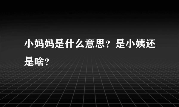 小妈妈是什么意思？是小姨还是啥？