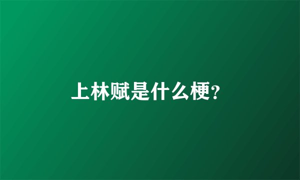 上林赋是什么梗？