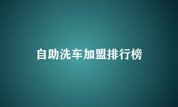 自助洗车加盟排行榜