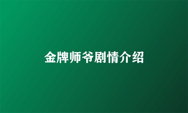 金牌师爷剧情介绍