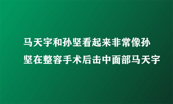 马天宇和孙坚看起来非常像孙坚在整容手术后击中面部马天宇