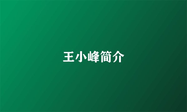 王小峰简介