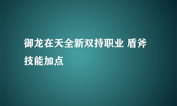 御龙在天全新双持职业 盾斧技能加点