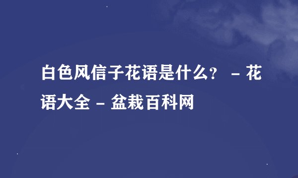 白色风信子花语是什么？ - 花语大全 - 盆栽百科网