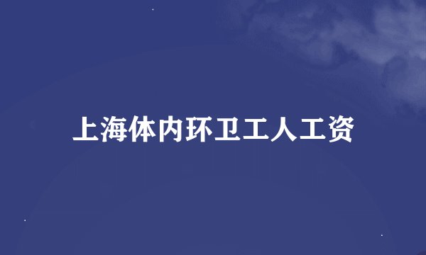 上海体内环卫工人工资