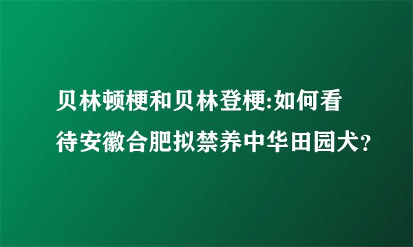 贝林顿梗和贝林登梗:如何看待安徽合肥拟禁养中华田园犬？