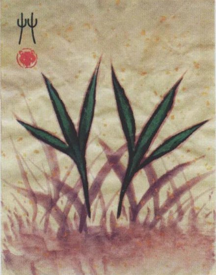 艸怎么读