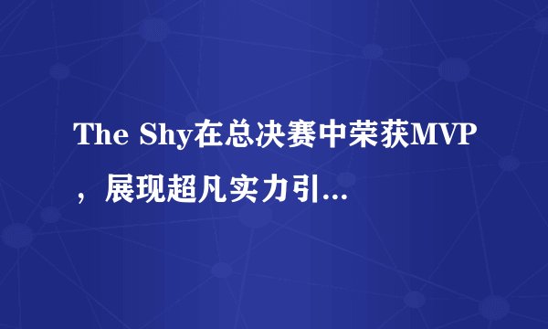 The Shy在总决赛中荣获MVP，展现超凡实力引领赛场风云