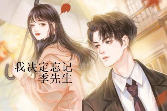 夏甜甜季北严航司集团小说叫什么名字