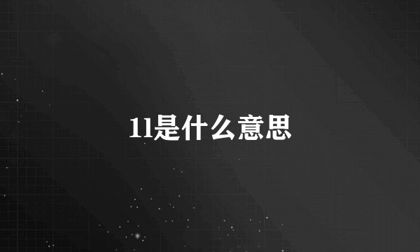 1l是什么意思