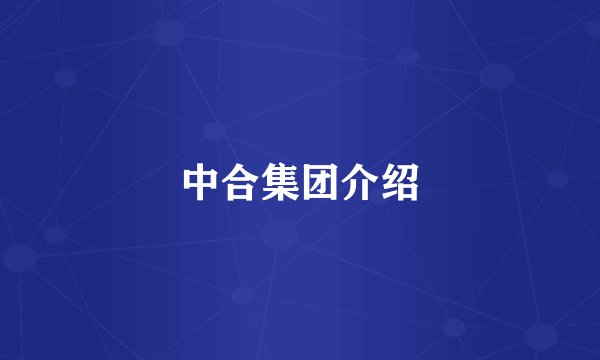 中合集团介绍