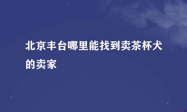 北京丰台哪里能找到卖茶杯犬的卖家