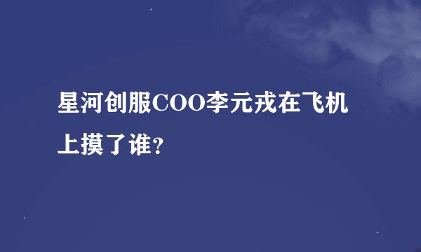 星河创服COO李元戎在飞机上摸了谁？