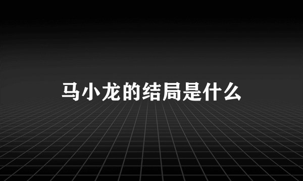 马小龙的结局是什么