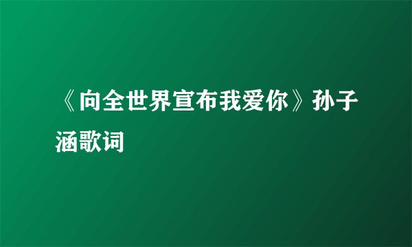 《向全世界宣布我爱你》孙子涵歌词