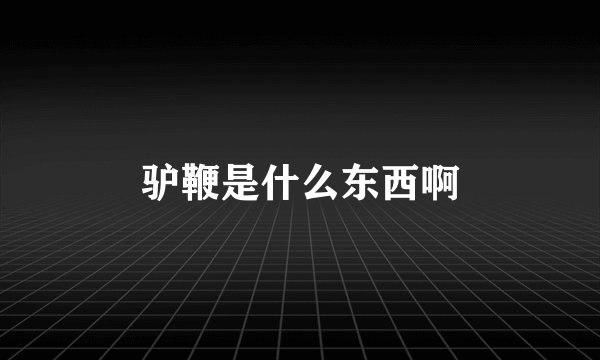 驴鞭是什么东西啊