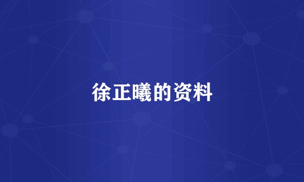 徐正曦的资料