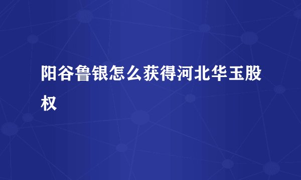 阳谷鲁银怎么获得河北华玉股权