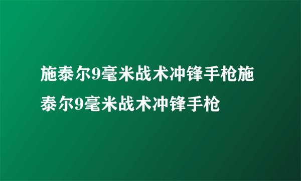 施泰尔9毫米战术冲锋手枪施泰尔9毫米战术冲锋手枪