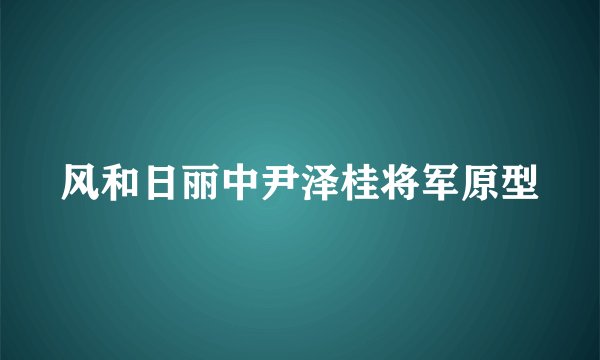 风和日丽中尹泽桂将军原型