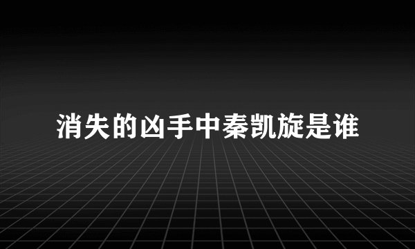 消失的凶手中秦凯旋是谁