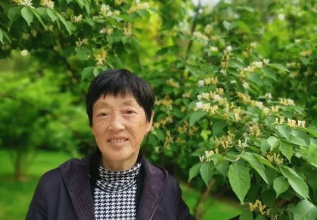 姨的拼音笔顺