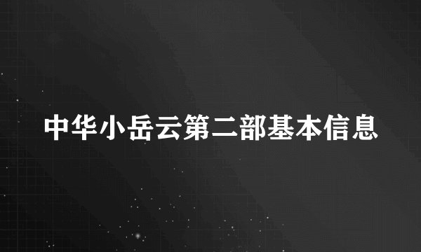 中华小岳云第二部基本信息