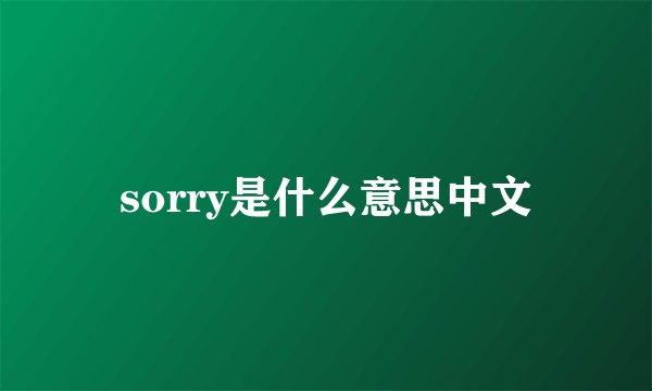 sorry是什么意思中文