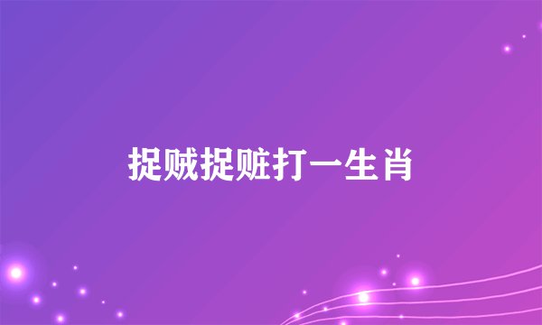 捉贼捉赃打一生肖