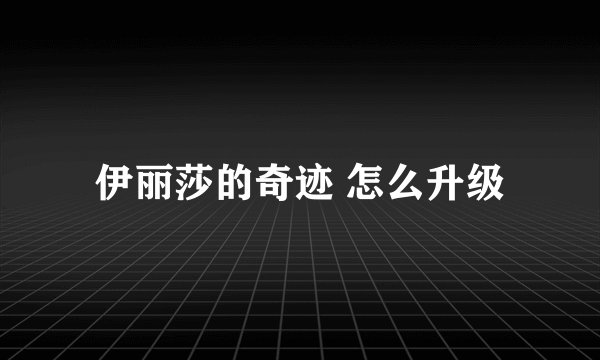 伊丽莎的奇迹 怎么升级