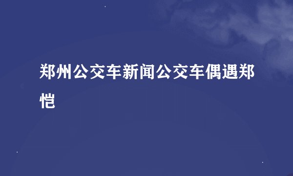 郑州公交车新闻公交车偶遇郑恺