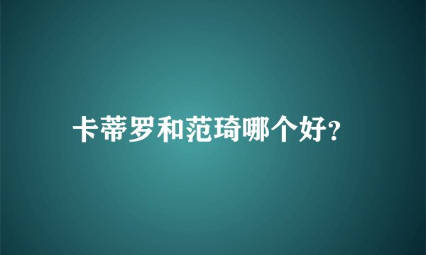 卡蒂罗和范琦哪个好？