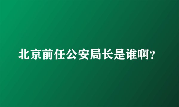 北京前任公安局长是谁啊？
