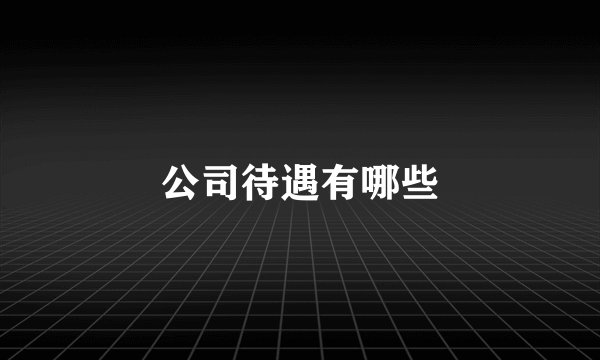 公司待遇有哪些