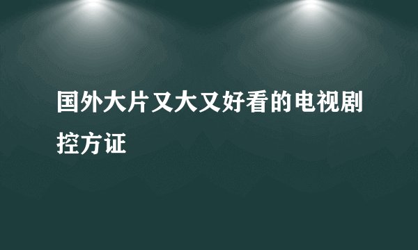 国外大片又大又好看的电视剧控方证