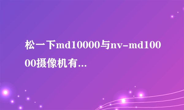 松一下md10000与nv-md10000摄像机有何差别？哪位能说说看？