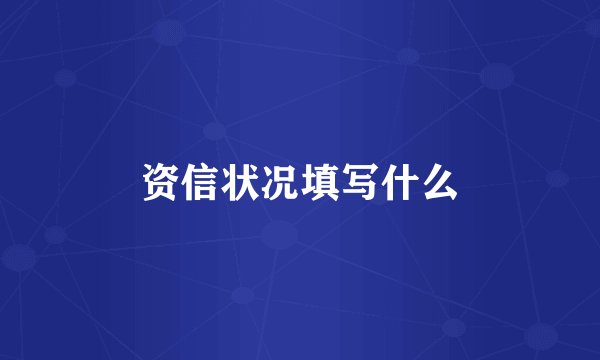 资信状况填写什么