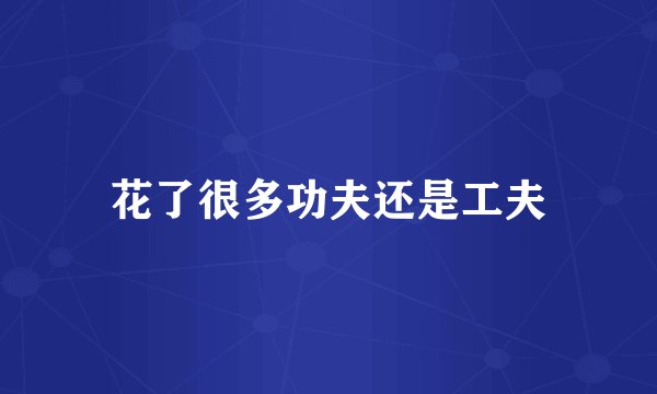 花了很多功夫还是工夫
