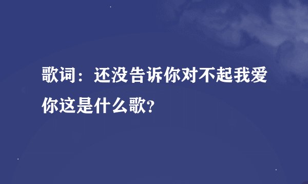 歌词：还没告诉你对不起我爱你这是什么歌？
